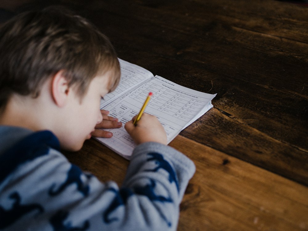 Young boy writing in a notebook